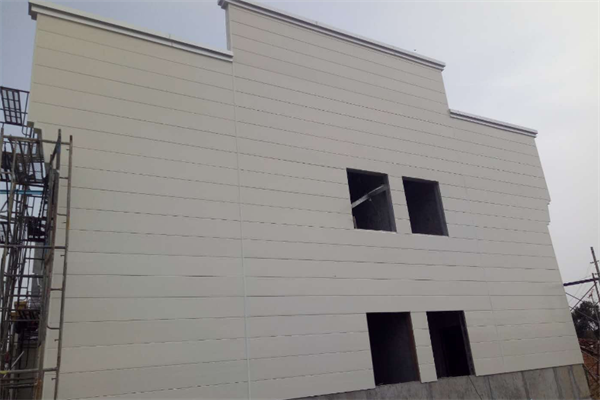 石家庄金属雕花板定制更是凸显了其在建筑装饰材料中的领先地位.png 石家庄金属雕花板定制更是凸显了其在建筑装饰材料中的领先地位.png